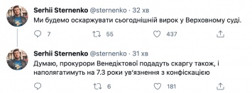 Стерненко заявил, что обжалует свой условный срок