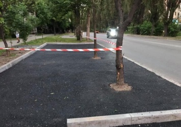 И так сойдет: в Днепре на парковке деревья закатали в асфальт