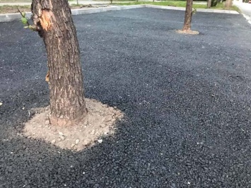 На очередной парковке в Днепре деревья закатали в асфальт