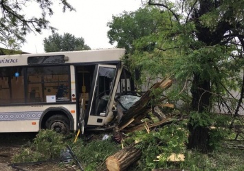 В Запорожье коммунальный автобус врезался в дерево: есть пострадавшие