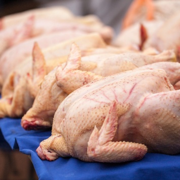 Как обманывают потребителя: фальсификат куриного мяса