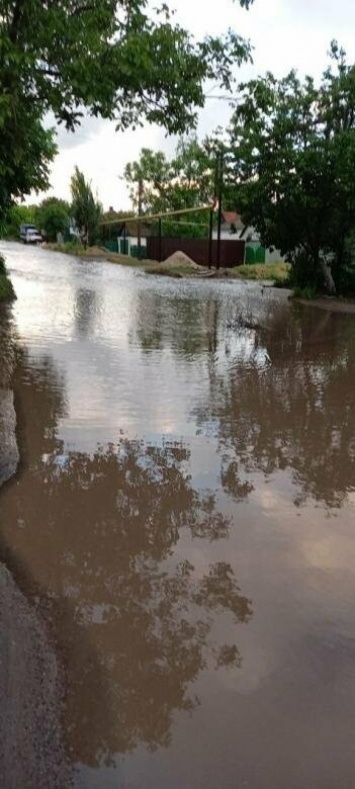 Потоп в Ляпино. В Мариуполе ливнем затопило дома, погибли домашние птицы, - ВИДЕО