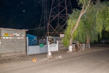 В Днепре на женщину напала собака и сильно покусала