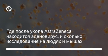 Где после укола AstraZeneca находится аденовирус, и сколько: исследование на людях и мышах