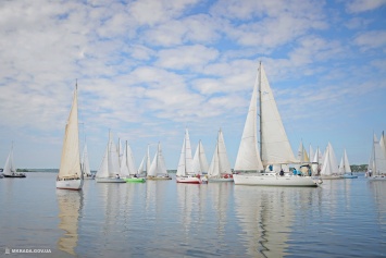 В Николаеве стартовал II этап регаты «Mykolaiv River Cup» - в гонке участвует мэр (ФОТО)