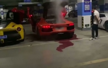 Водитель сжег мотор Lamborghini, пытаясь сделать шашлык у выхлопной трубы (ВИДЕО)