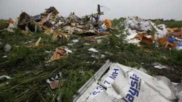 Авиакатастрофа MH17: в Нидерландах заявили об останках двух погибших