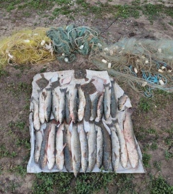 В Азовском море задержали браконьеров с уловом пиленгаса и камбалы