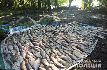 Набраконьерили на 13 тысяч гривен в Нижнерогачикском лимане четверо рыбаков
