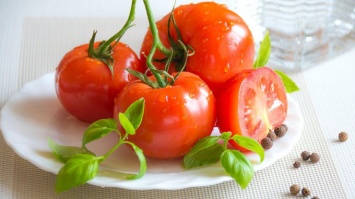 Чем полезны и вредны помидоры