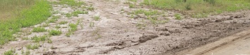 Проехать невозможно: дорогу в Запорожской области затопило грязью - фото