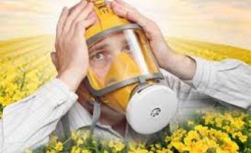 Жителей Днепропетровской области ждут три пыльцевых волны: как подготовиться аллергикам
