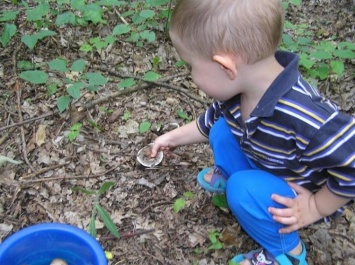 В мелитопольском селе малыш отравился, наевшись грибов