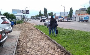 В Павлограде предприниматель заплатит за брусчатку, которую у нее украли
