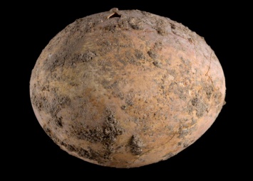 Израильские археологи нашли тысячелетнее куриное яйцо (фото)