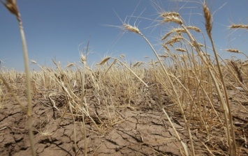 Засуха Украине не грозит - Гидрометцентр
