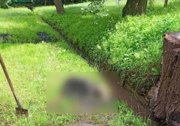 Опознала дочь: подробности о найденных в ливневом канале останках мужчины