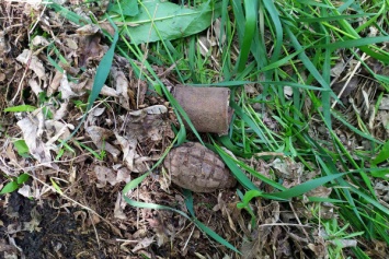 В Криворожском районе нашли снаряд и гранаты