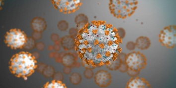 Назван вирус, способный снизить риск заражения SARS-CoV-2