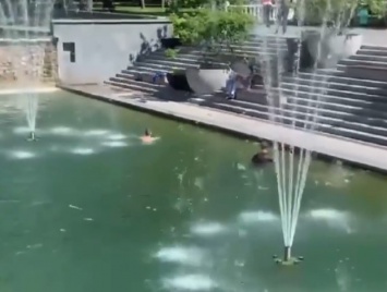 В саду Шевченко одетый мужчина устроил заплыв в фонтане (видео)