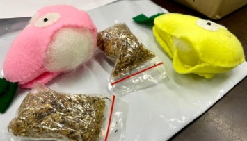 В посылке игрушек из Индонезии таможенники нашли наркотики