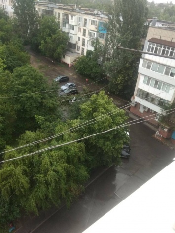 "Прелести" сегодняшнего дождливого дня в Херсоне: упавшие деревья, разбитые машины, новые "бассейны"