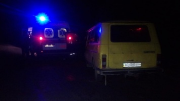 В Днепропетровской области РАФ вылетел в кювет и врезался в дерево: пострадали взрослый и ребенок