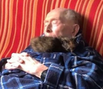 Трогательная дружба 100-летнего дедушки и котенка покорила интернет