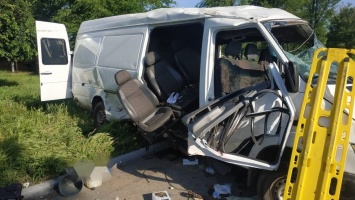 Смертельное ДТП возле трассы Кривой Рог - Никополь: погибло 2 человека, 8 госпитализированы