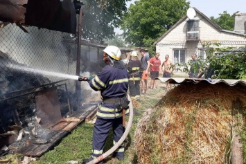 Под Днепром загорелось сено: огонь уничтожил почти 2 тонны корма