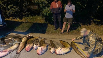 В Никополе у семьи браконьеров изъяли более 5 тонн рыбы, которую они сдавали в подпольные цеха