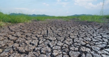 Украина имеет самые высокие риски засухи среди всех стран мира - исследование