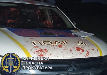 Дергачевский суд взял под стражу парня, который напал на полицейских и повредил им авто