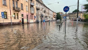 Львов накрыла буря - повалены деревья, затоплены улицы