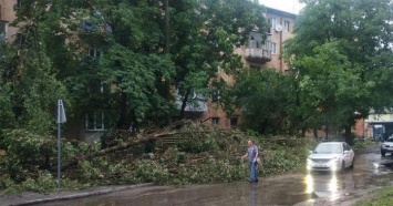 Шторм в Украине - 811 обесточенных населенных пунктов и пострадавшие (ВИДЕО)