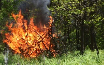 Днепрян предупредили об опасности