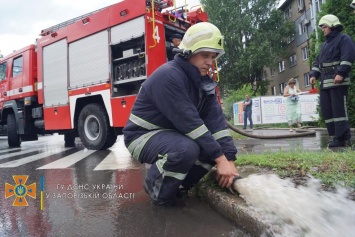Последствия непогоды в Запорожской области: затопленные подвалы и деревья на машинах - фото