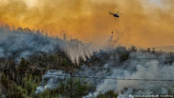 Профессор из ФРГ об аномальной жаре: Пожары на планете уже не остановить