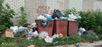Крысы, мухи и вонь: оккупированный Луганск утопает в мусоре (фото)