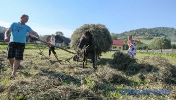 2 июля: народный календарь и астровестник