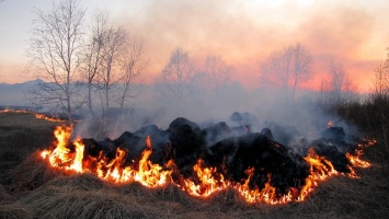 Ячменное поле горело в Ленинском районе Крыма