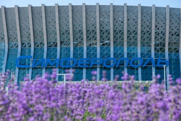 В аэропорту Симферополь расцвело более 19 тыс. кустов лаванды