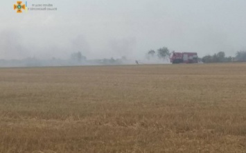 В Скадовском районе горело поле ячменя