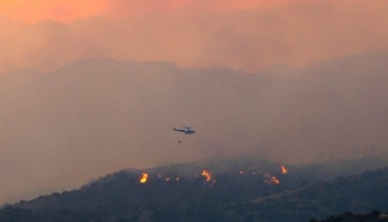 На Кипре из-за лесных пожаров погибли четыре человека