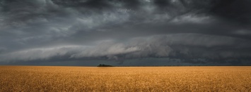Над пшеничным полем нависли черные тучи: фотограф из Бердянска показала невероятные пейзажи