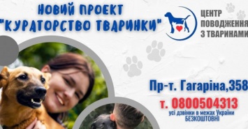 "Кураторство животного": Харьковчанам предлагают стать опекунами животных