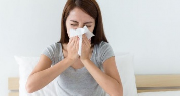 Почему запорожцы страдают аллергией