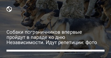 Собаки пограничников впервые пройдут в параде ко дню Независимости. Идут репетиции: фото