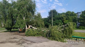 Затопленные дома, поваленные деревья и отключенный свет: в городе на Харьковщине ликвидируют последствия непогоды, - ФОТО