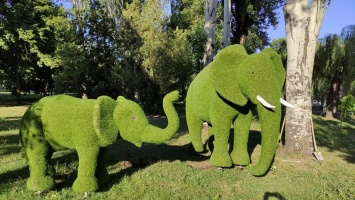 В парке Героев Кривого Рога появились слоны, бегемоты и львы